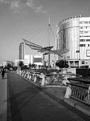安平公司注册